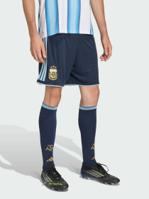 Спортивні шорти Adidas модель JM1325 Фото