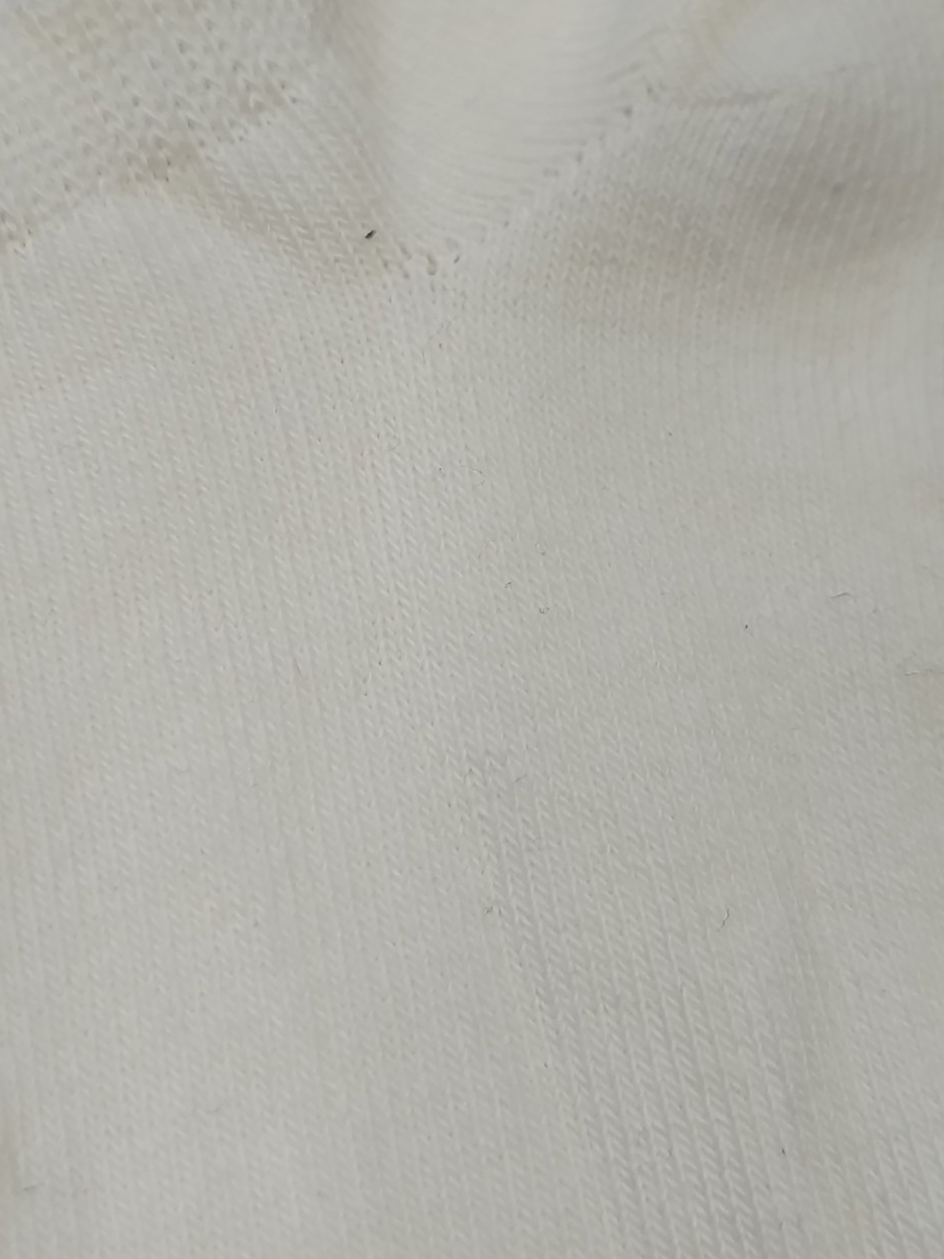 Носки модель 79489 Фото