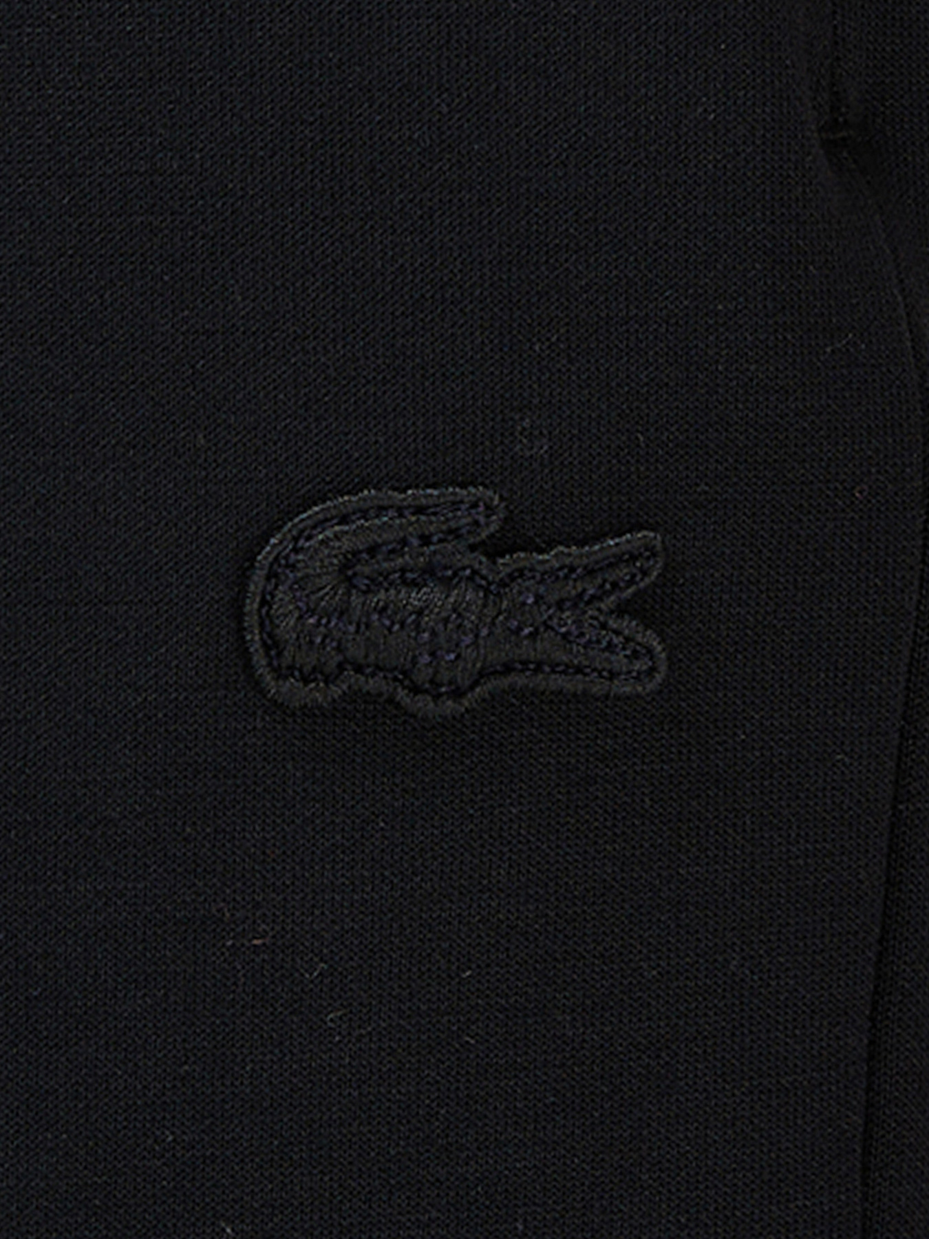 Штани спортивні Lacoste модель XF2605031 Фото