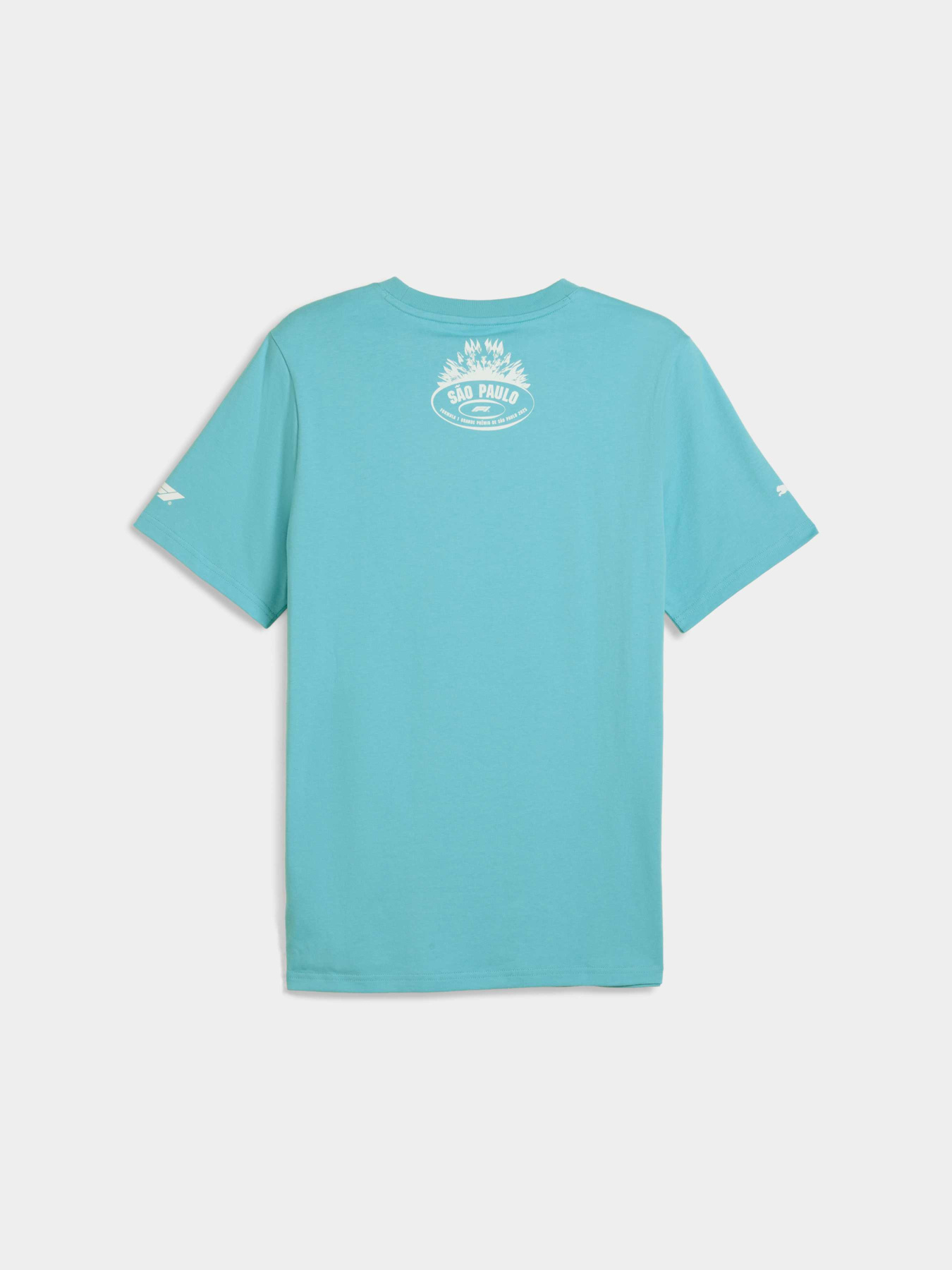 Футболка PUMA F1 Brazil Tee модель 630236 Фото