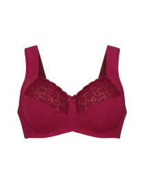 Бюстгальтер Anita модель 5813_Havanna_Red Фото