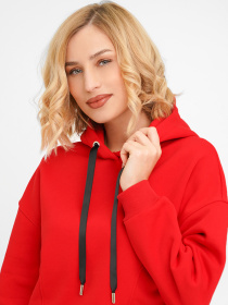 Худи Daria Karpiuk модель HO165NV41CTPO Фото