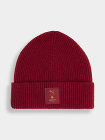 Шапка PUMA x Saysky Merino Beanie модель 026615 Шапка PUMA x Saysky Merino Beanie модель 026615 Фото