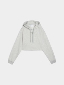 Худи и свитшоты PUMA W Hyrox Heavyweight Hoodie модель 527641 Фото
