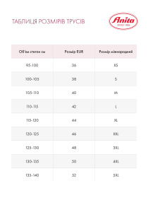 Трусы Anita модель 1304Black Фото