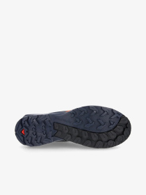 Кросівки аутдор SALOMON модель L47686200.- Фото