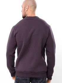 Світшот Носи своє модель 8167-025-nzhir Світшот Носи своє модель 8167-025-nzhir Фото