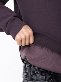 Світшот Носи своє модель 8167-025-nzhir Світшот Носи своє модель 8167-025-nzhir Фото