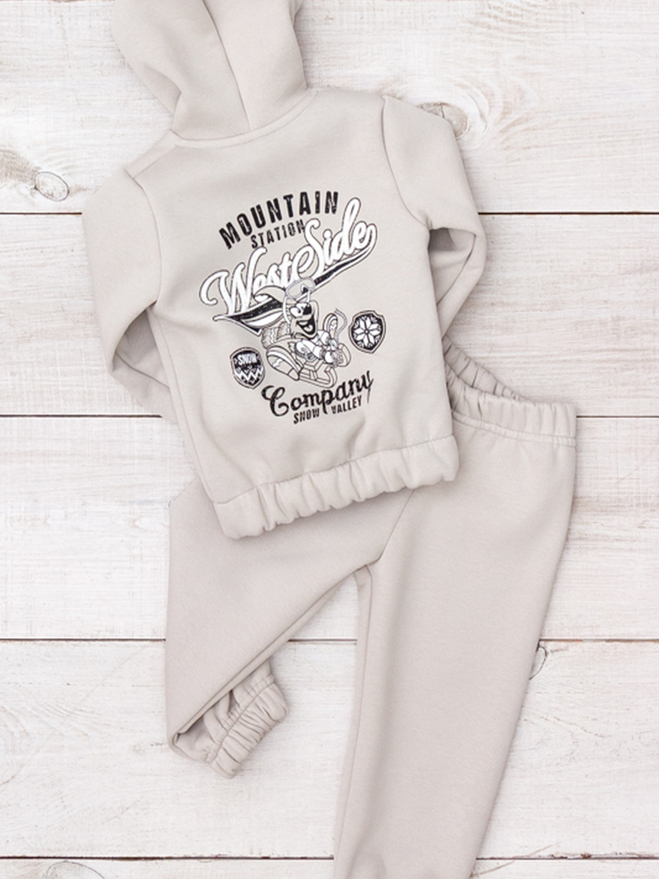 Теплий ясельний комплект для хлопчика (zip-худі та штани) з принтом, Перлинний Носи Своє (5066-025-33-4) модель 5066-025-33-4-dimchastij Фото