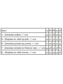 Теплий ясельний комплект для хлопчика (zip-худі та штани) з принтом, Перлинний Носи Своє (5066-025-33-4) модель 5066-025-33-4-dimchastij Фото