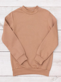 Утеплений джемпер для хлопчика (оверсайз) однотонний, Капучино Носи Своє (6069-023-4) модель 6069-023-4-kava Фото