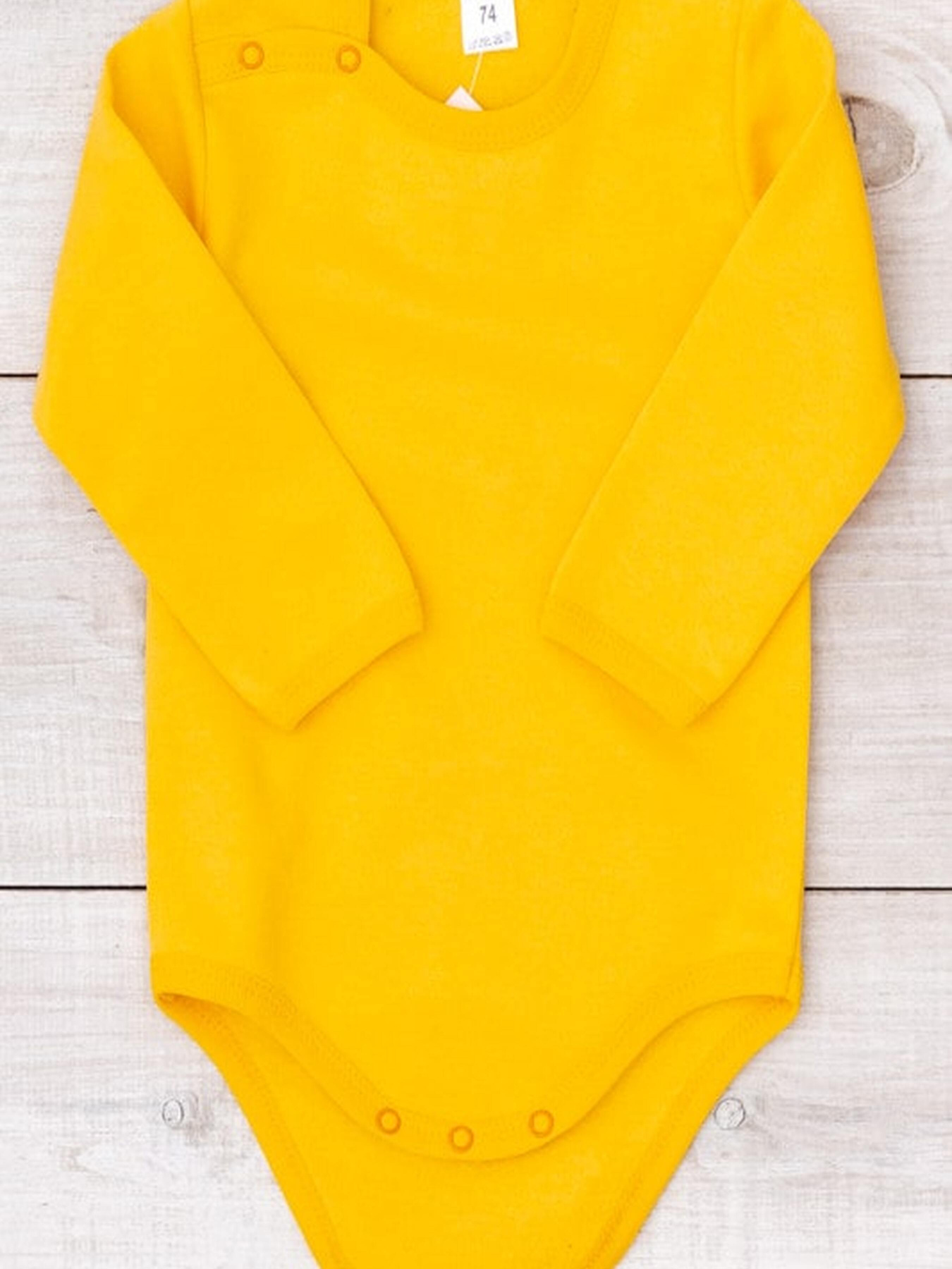 Боди для младенцев Носи своє модель 5010-023-5-grchicq Боди для младенцев Носи своє модель 5010-023-5-grchicq Фото