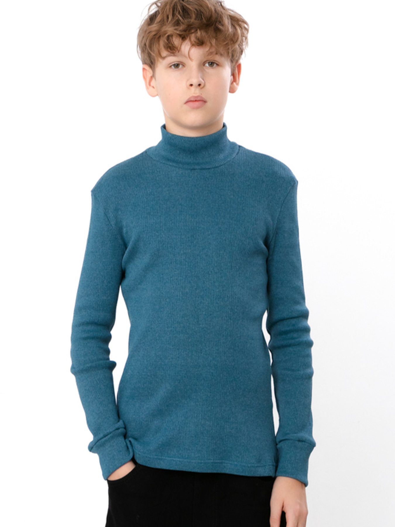 Водолазка Носи своє модель 6068-021-murena Водолазка Носи своє модель 6068-021-murena Фото