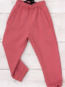 Теплі дитячі штани джогери однотонні (унісекс), Джеральдін Носи Своє (6060-025) модель 6060-025-dzheralxdn Фото