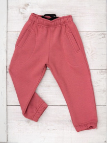 Джоггеры Носи своє модель 6060-025-dzheralxdn Фото