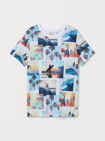 Футболка H&M модель 9270993kwer_Комбинированный Фото