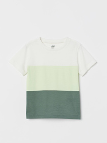 Футболка H&M модель 7180761kwer_Зелено-белый Фото