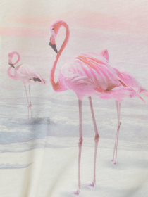 Футболка H&M модель 8053661kwer_Розовый Фото