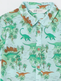 Сорочка H&M модель 9305243kwer_Светло-бирюзовый Фото