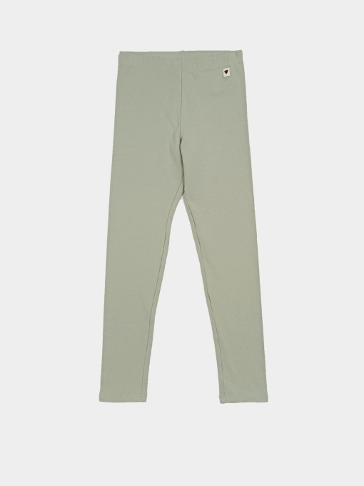 Леггинсы модель 7505285kwer_Светло-зеленый Фото