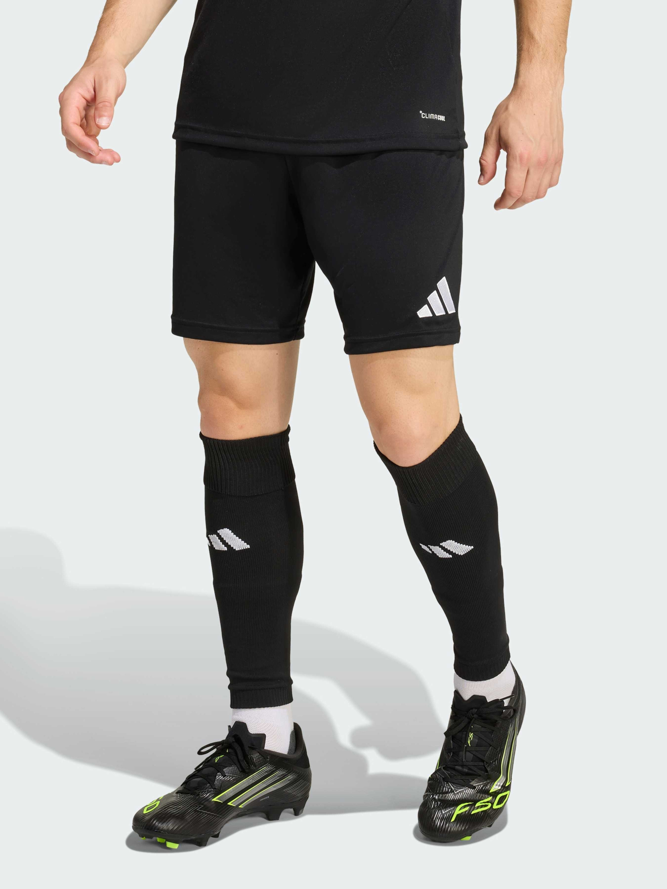 Шорти спортивні Adidas модель JZ2521 Фото