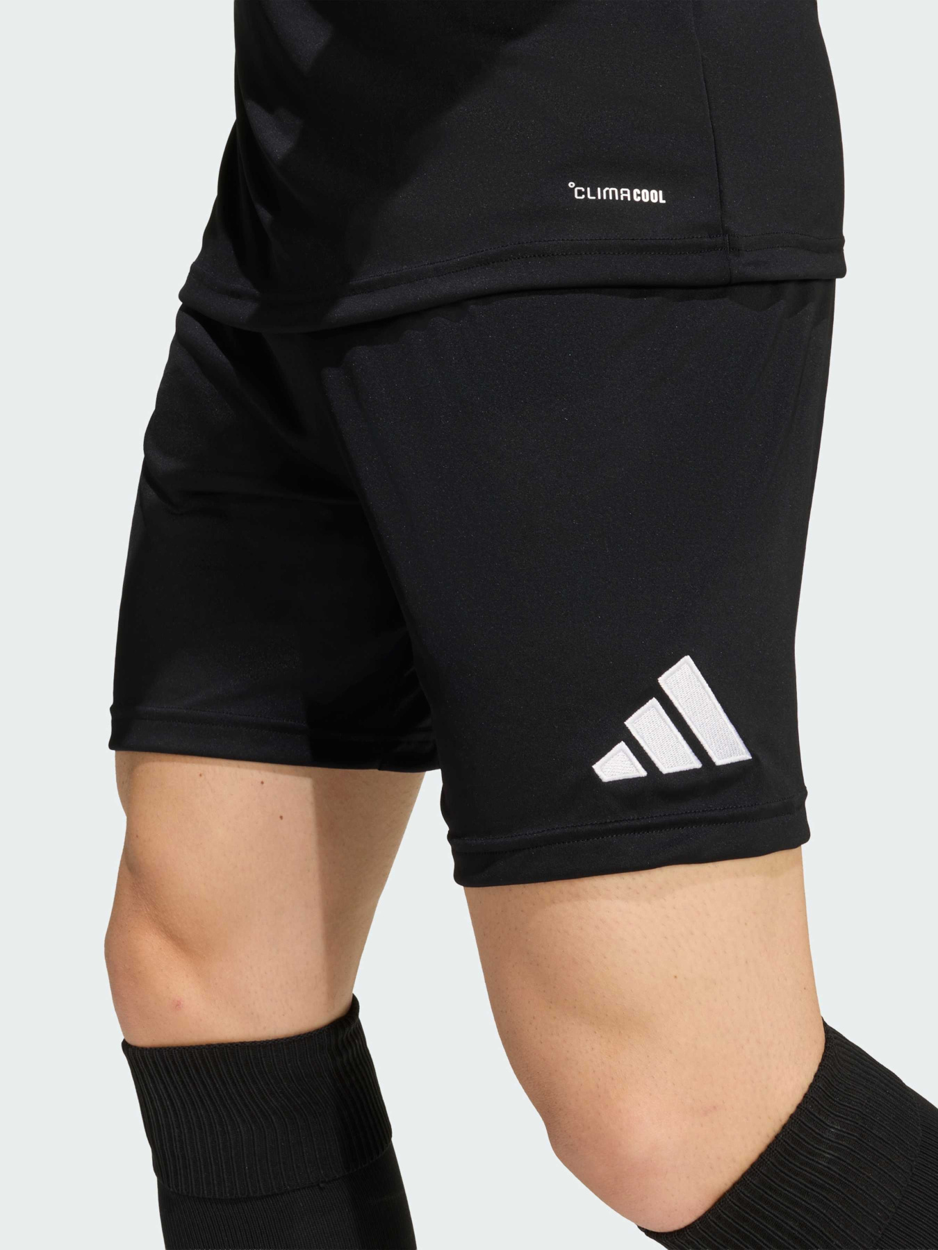 Спортивні шорти Adidas модель JZ2521 Спортивні шорти Adidas модель JZ2521 Фото