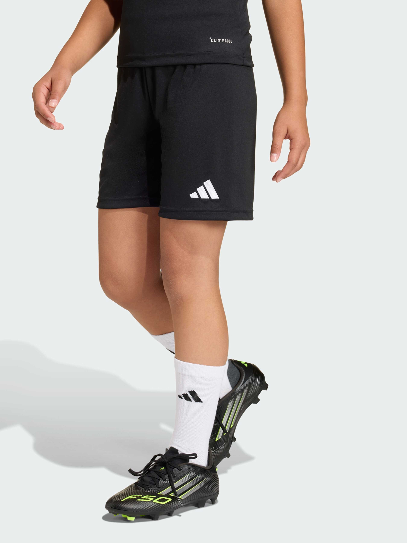 Шорты спортивные Adidas модель JZ6531 Шорты спортивные Adidas модель JZ6531 Фото