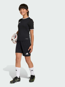 Шорты спортивные Adidas модель JZ6531 Шорты спортивные Adidas модель JZ6531 Фото