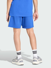 Шорты спортивные Adidas модель JZ2065 Фото