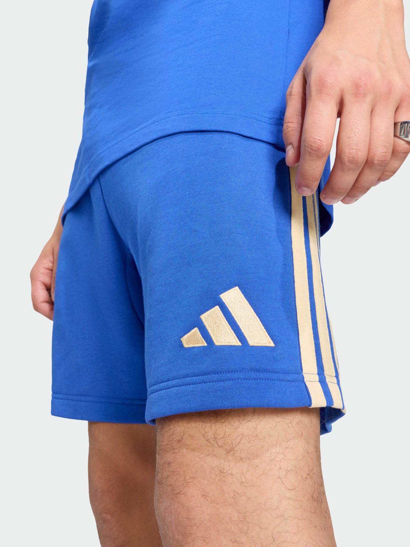 Спортивні шорти Adidas модель JZ2065 Фото