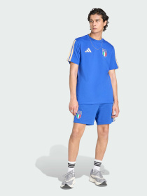 Спортивні шорти Adidas модель JZ2065 Фото