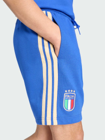 Спортивні шорти Adidas модель JZ2065 Фото