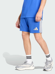 Шорты спортивные Adidas модель JZ2065 Фото