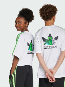 Футболка Adidas Graphics модель JW7750 Фото