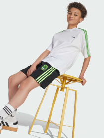 Футболка Adidas Graphics модель JW7750 Фото