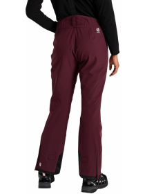 Брюки горнолыжные Diminish Pant модель DWW509-909 Фото