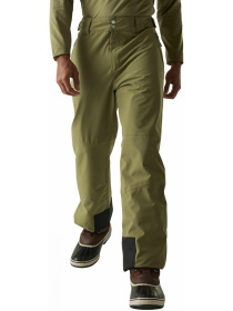 Лыжные штаны Dare2B Achieveiipant модель DMW486-0GH Фото