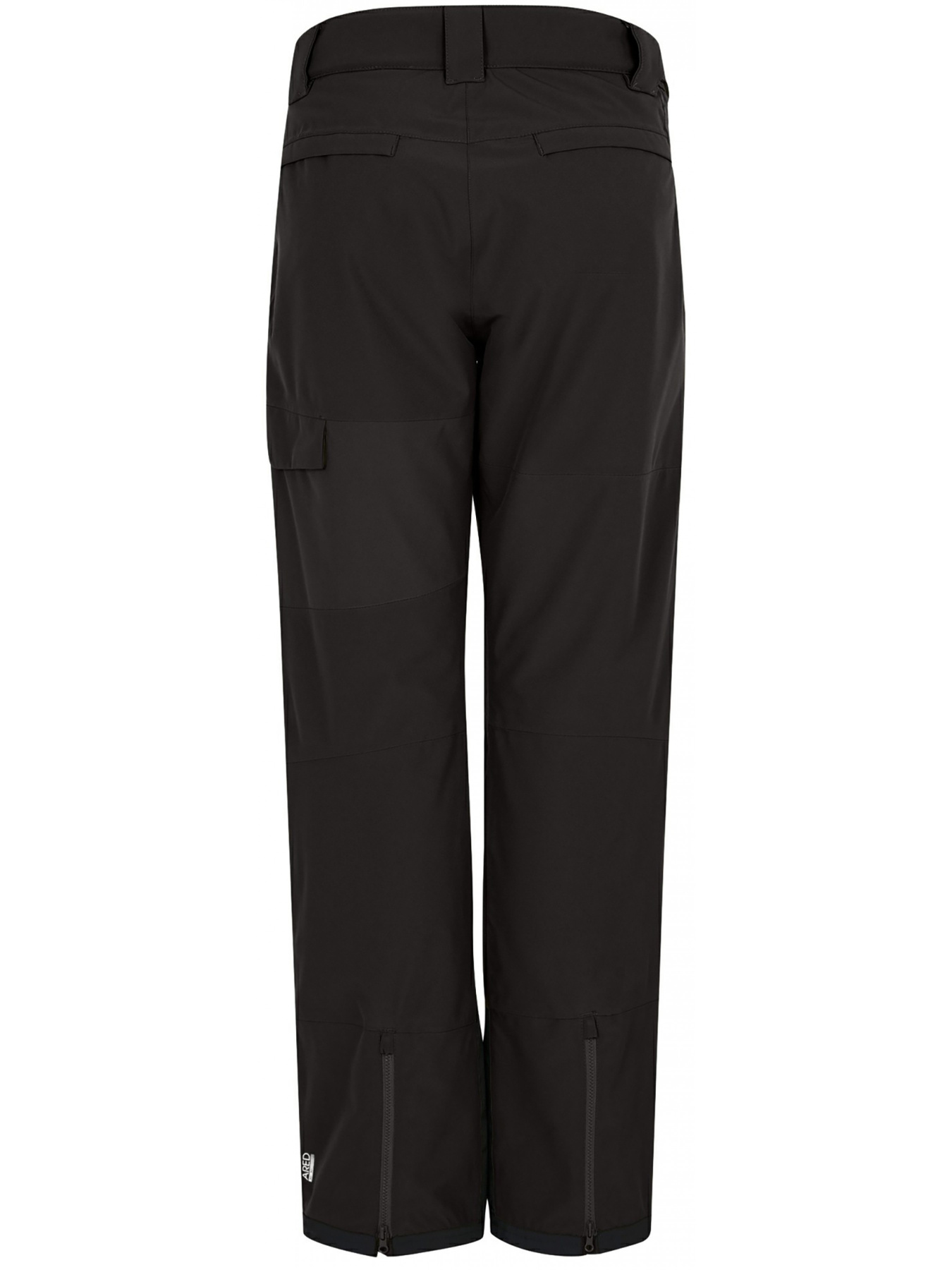 Лыжные штаны Dare2B Icepant модель DWW556-800 Фото