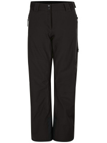 Лыжные штаны Dare2B Icepant модель DWW556-800 Фото