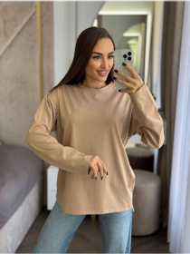 Лонгслив женский оверсайз бежевий модель Wn198 Фото