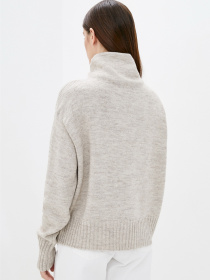 Свитер Sewel модель SW868040000 Фото