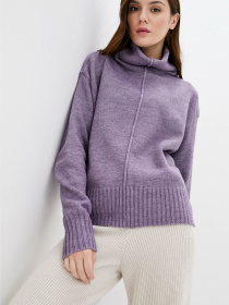 Свитер Sewel модель SW868170000 Фото