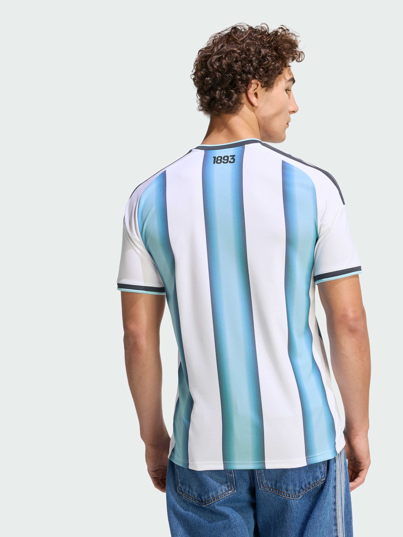 Домашнее джерси Argentina 26 Home Replica модель JM8396 Фото