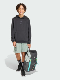 Повседневные шорты Adidas модель KD0986 Фото