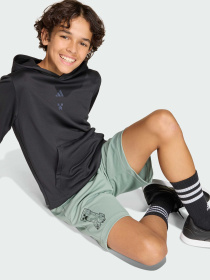 Повседневные шорты Adidas модель KD0986 Фото