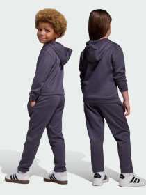 Комплект: худи и брюки ADIDAS MINECRAFT TRAINING модель KA0250 Фото