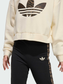 Комплект: свитшот и брюки BOXY модель KD5814 Фото