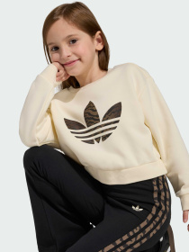 Спортивний костюм Adidas Graphics модель KD5814 Фото