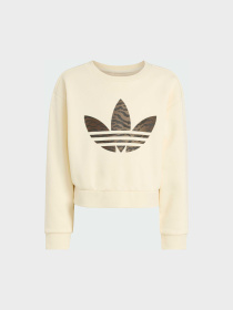 Спортивний костюм Adidas Graphics модель KD5814 Фото