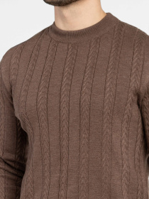 Джемпер Arber модель M10.39.38.531 Фото